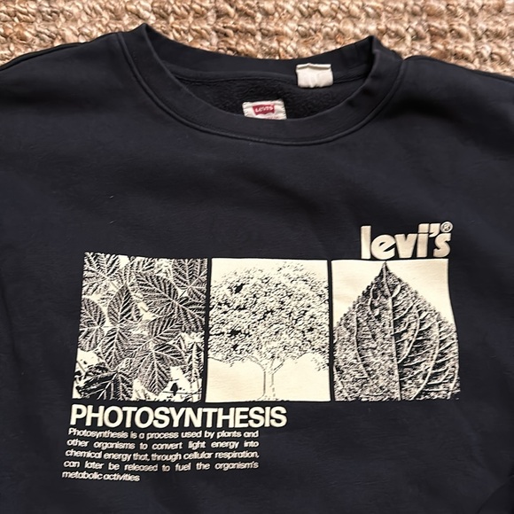 Levi’s Graphic Crew Sweater - Picture 2 of 4